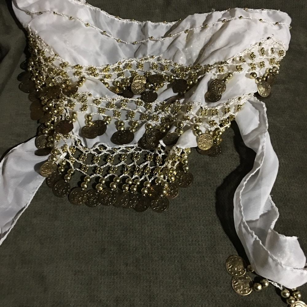 Belly dance belt